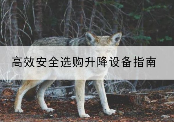 广宁升降货梯厂家推荐-*安全选购升降设备指南