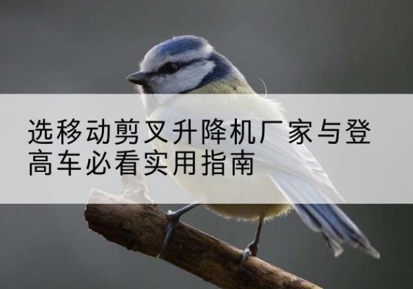 广宁电动升降机厂家-选移动剪叉升降机厂家与登高车必看实用指南