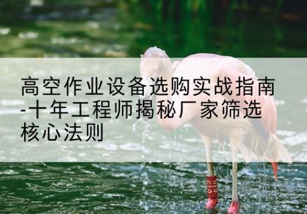 广宁剪叉式升降机厂家-高空作业设备选购实战指南-十年工程师揭秘厂家筛选核心法则